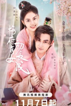 Mei Fu You Nv Chu Zhang Cheng ซับไทย Ep1-24