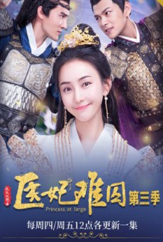 พระชายาลอยนวล ปี 3  Princess at Large Season 3 พากย์ไทย ตอนที่1-15